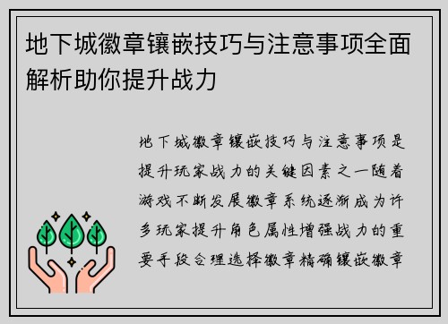 地下城徽章镶嵌技巧与注意事项全面解析助你提升战力